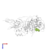 (2S,5R)-1-formyl-N'-[(3R)-pyrrolidine-3-carbonyl]-5-[(sulfooxy)amino]piperidine-2-carbohydrazide in PDB entry 7kis, assembly 1, top view.