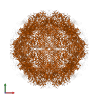 Capsid protein in PDB entry 7kpn, assembly 1, front view.