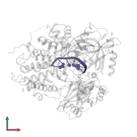 DNA (5'-D(P*AP*TP*TP*CP*TP*GP*C)-3') in PDB entry 7kr4, assembly 1, front view.