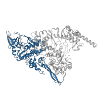 The deposited structure of PDB entry 7krp contains 1 copy of Pfam domain PF06478 (Coronavirus RNA-dependent RNA polymerase, N-terminal) in RNA-directed RNA polymerase nsp12. Showing 1 copy in chain A.
