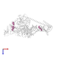 CHAPSO in PDB entry 7krp, assembly 1, top view.