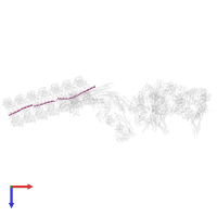 Outer dynein arm-docking complex subunit 1 in PDB entry 7kzm, assembly 1, top view.