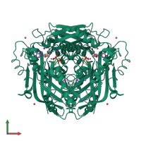 Homo dimeric assembly 1 of PDB entry 7l1a coloured by chemically distinct molecules, front view.