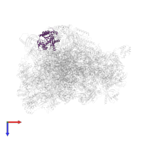 Large ribosomal subunit protein mL39 in PDB entry 7l20, assembly 1, top view.