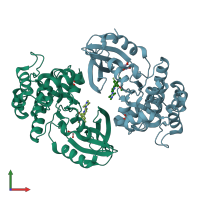 PDB entry 7l25 coloured by chain, front view.