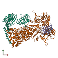 Hetero tetrameric assembly 1 of PDB entry 7l7i coloured by chemically distinct molecules, front view.