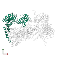 Peptidyl-prolyl cis-trans isomerase FKBP5 in PDB entry 7l7i, assembly 1, front view.