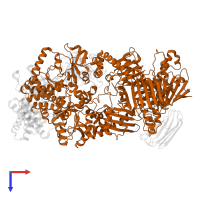 Heat shock protein HSP 90-alpha in PDB entry 7l7i, assembly 1, top view.