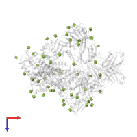 2-acetamido-2-deoxy-beta-D-glucopyranose in PDB entry 7l8f, assembly 1, top view.