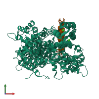 PDB entry 7l8v coloured by chain, ensemble of 12 models, front view.