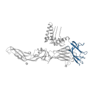 The deposited structure of PDB entry 7lcg contains 3 copies of Pfam domain PF02832 (Flavivirus glycoprotein, immunoglobulin-like domain) in Envelope protein E. Showing 1 copy in chain E.