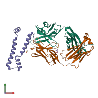 PDB entry 7lfb coloured by chain, front view.