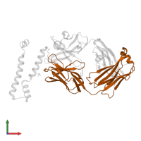 Fab 7D6 light chain in PDB entry 7lfb, assembly 1, front view.