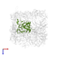 Triplex capsid protein 2 in PDB entry 7liv, assembly 1, top view.