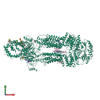 PDB entry 7lkp coloured by chain, front view.