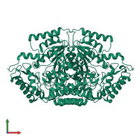 Putative gentamicin aminotransferase IV in PDB entry 7lle, assembly 1, front view.