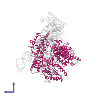 Telomerase reverse transcriptase in PDB entry 7lmb, assembly 1, side view.