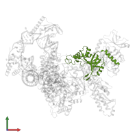 Telomeric repeat-binding subunit 1 in PDB entry 7lmb, assembly 1, front view.