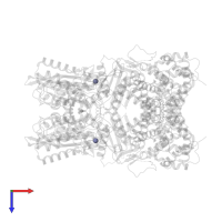 ZINC ION in PDB entry 7lrd, assembly 1, top view.