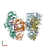 PDB entry 7lrm coloured by chain, front view.