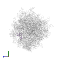 Large ribosomal subunit protein eL20 in PDB entry 7ls1, assembly 1, side view.