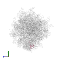Small ribosomal subunit protein uS9 in PDB entry 7ls1, assembly 1, side view.
