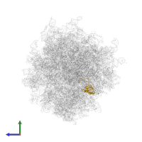 Small ribosomal subunit protein uS11 in PDB entry 7ls1, assembly 1, side view.