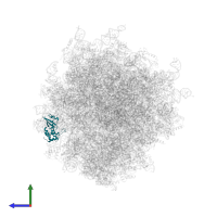 Large ribosomal subunit protein uL11 in PDB entry 7ls1, assembly 1, side view.