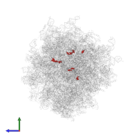 Modified residue OMC in PDB entry 7ls1, assembly 1, side view.