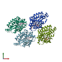 PDB entry 7ltx coloured by chain, front view.