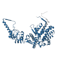The deposited structure of PDB entry 7lum contains 2 copies of Pfam domain PF00118 (TCP-1/cpn60 chaperonin family) in T-complex protein 1 subunit beta. Showing 1 copy in chain C [auth M].