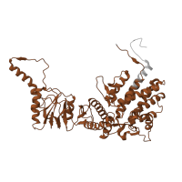 The deposited structure of PDB entry 7lum contains 2 copies of Pfam domain PF00118 (TCP-1/cpn60 chaperonin family) in T-complex protein 1 subunit zeta. Showing 1 copy in chain N [auth A].