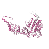 The deposited structure of PDB entry 7lum contains 2 copies of Pfam domain PF00118 (TCP-1/cpn60 chaperonin family) in T-complex protein 1 subunit alpha. Showing 1 copy in chain O.