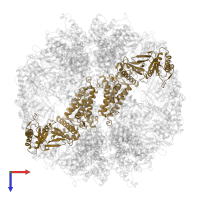 T-complex protein 1 subunit zeta in PDB entry 7lum, assembly 1, top view.