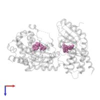 PHOSPHOAMINOPHOSPHONIC ACID-ADENYLATE ESTER in PDB entry 7m0t, assembly 1, top view.