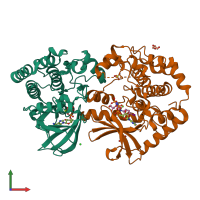 Hetero dimeric assembly 1 of PDB entry 7m0x coloured by chemically distinct molecules, front view.