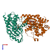 Hetero dimeric assembly 1 of PDB entry 7m0x coloured by chemically distinct molecules, top view.