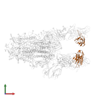 BG1-22 Fab Heavy Chain in PDB entry 7m6f, assembly 1, front view.