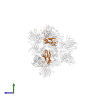 BG1-22 Fab Heavy Chain in PDB entry 7m6f, assembly 1, side view.