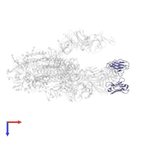 BG1-22 Fab Light Chain in PDB entry 7m6f, assembly 1, top view.