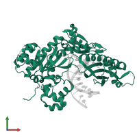 DNA polymerase eta in PDB entry 7m8d, assembly 1, front view.