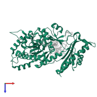 DNA polymerase eta in PDB entry 7m8d, assembly 1, top view.