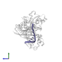 DNA/RNA (5'-D(*AP*GP*CP*GP*TP*CP*A)-R(P*A)-D(P*A)-3') in PDB entry 7m8d, assembly 1, side view.