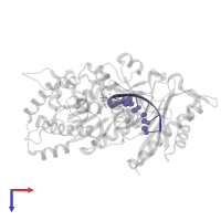 DNA/RNA (5'-D(*AP*GP*CP*GP*TP*CP*A)-R(P*A)-D(P*A)-3') in PDB entry 7m8d, assembly 1, top view.