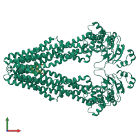 Homo dimeric assembly 1 of PDB entry 7mew coloured by chemically distinct molecules, front view.