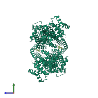 Homo dimeric assembly 1 of PDB entry 7mew coloured by chemically distinct molecules, side view.