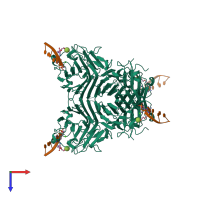 Hetero octameric assembly 1 of PDB entry 7mg5 coloured by chemically distinct molecules, top view.