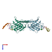 PDB entry 7mg5 coloured by chain, top view.