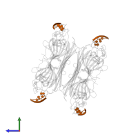 DNA (5'-D(P*AP*TP*AP*T)-3') in PDB entry 7mg5, assembly 1, side view.