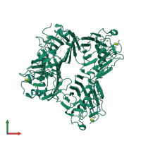 Homo tetrameric assembly 1 of PDB entry 7mgb coloured by chemically distinct molecules, front view.